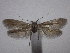  ( - IO-243)  @11 [ ] CreativeCommons - Attribution Non-Commercial (2018) Issei Ohshima Kyoto Prefectural University