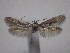  ( - IO-244)  @13 [ ] CreativeCommons - Attribution Non-Commercial (2018) Issei Ohshima Kyoto Prefectural University
