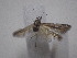  ( - IO-304)  @12 [ ] CreativeCommons - Attribution Non-Commercial (2018) Issei Ohshima Kyoto Prefectural University