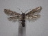  ( - IO-306)  @13 [ ] CreativeCommons - Attribution Non-Commercial (2018) Issei Ohshima Kyoto Prefectural University