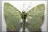  ( - 16-SRNP-105079)  @14 [ ] CreativeCommons  Attribution Non-Commercial Share-Alike (2017) Daniel H. Janzen Guanacaste Dry Forest Conservation Fund