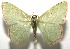  ( - 16-SRNP-105081)  @13 [ ] CreativeCommons  Attribution Non-Commercial Share-Alike (2017) Daniel H. Janzen Guanacaste Dry Forest Conservation Fund