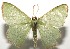  ( - 16-SRNP-105082)  @14 [ ] CreativeCommons  Attribution Non-Commercial Share-Alike (2017) Daniel H. Janzen Guanacaste Dry Forest Conservation Fund