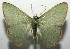  ( - 16-SRNP-105295)  @13 [ ] CreativeCommons  Attribution Non-Commercial Share-Alike (2017) Daniel H. Janzen Guanacaste Dry Forest Conservation Fund