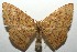  ( - 16-SRNP-105331)  @14 [ ] CreativeCommons  Attribution Non-Commercial Share-Alike (2017) Daniel H. Janzen Guanacaste Dry Forest Conservation Fund