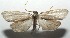  ( - 16-SRNP-105348)  @14 [ ] CreativeCommons  Attribution Non-Commercial Share-Alike (2017) Daniel H. Janzen Guanacaste Dry Forest Conservation Fund