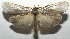 ( - 16-SRNP-105349)  @14 [ ] CreativeCommons  Attribution Non-Commercial Share-Alike (2017) Daniel H. Janzen Guanacaste Dry Forest Conservation Fund