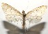  ( - 16-SRNP-105424)  @14 [ ] CreativeCommons  Attribution Non-Commercial Share-Alike (2017) Daniel H. Janzen Guanacaste Dry Forest Conservation Fund