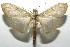  ( - 16-SRNP-105435)  @13 [ ] CreativeCommons  Attribution Non-Commercial Share-Alike (2017) Daniel H. Janzen Guanacaste Dry Forest Conservation Fund