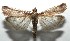  ( - 16-SRNP-105446)  @13 [ ] CreativeCommons  Attribution Non-Commercial Share-Alike (2017) Daniel H. Janzen Guanacaste Dry Forest Conservation Fund