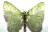  ( - 16-SRNP-105584)  @14 [ ] CreativeCommons  Attribution Non-Commercial Share-Alike (2017) Daniel H. Janzen Guanacaste Dry Forest Conservation Fund