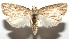  ( - 16-SRNP-105691)  @14 [ ] CreativeCommons  Attribution Non-Commercial Share-Alike (2017) Daniel H. Janzen Guanacaste Dry Forest Conservation Fund