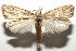  ( - 16-SRNP-105692)  @14 [ ] CreativeCommons  Attribution Non-Commercial Share-Alike (2017) Daniel H. Janzen Guanacaste Dry Forest Conservation Fund