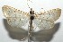  ( - 16-SRNP-105717)  @13 [ ] CreativeCommons  Attribution Non-Commercial Share-Alike (2017) Daniel H. Janzen Guanacaste Dry Forest Conservation Fund