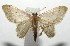  ( - 16-SRNP-105764)  @14 [ ] CreativeCommons  Attribution Non-Commercial Share-Alike (2017) Daniel H. Janzen Guanacaste Dry Forest Conservation Fund