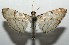  ( - 16-SRNP-106072)  @14 [ ] CreativeCommons  Attribution Non-Commercial Share-Alike (2017) Daniel H. Janzen Guanacaste Dry Forest Conservation Fund