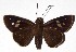  ( - 16-SRNP-20314)  @14 [ ] CreativeCommons - Attribution Non-Commercial Share-Alike (2018) Daniel H. Janzen Guanacaste Dry Forest Conservation Fund