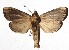  ( - 16-SRNP-46281)  @13 [ ] CreativeCommons - Attribution Non-Commercial Share-Alike (2018) Daniel H. Janzen Guanacaste Dry Forest Conservation Fund