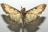  ( - 17-SRNP-100720)  @13 [ ] CreativeCommons - Attribution Non-Commercial Share-Alike (2018) Daniel H. Janzen Guanacaste Dry Forest Conservation Fund