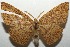  ( - 17-SRNP-100930)  @11 [ ] CreativeCommons - Attribution Non-Commercial Share-Alike (2018) Daniel H. Janzen Guanacaste Dry Forest Conservation Fund