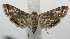  ( - 17-SRNP-101522)  @11 [ ] CreativeCommons - Attribution Non-Commercial Share-Alike (2018) Daniel H. Janzen Guanacaste Dry Forest Conservation Fund