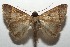 ( - 17-SRNP-101619)  @14 [ ] CreativeCommons - Attribution Non-Commercial Share-Alike (2018) Daniel H. Janzen Guanacaste Dry Forest Conservation Fund