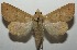  ( - 17-SRNP-101626)  @14 [ ] CreativeCommons - Attribution Non-Commercial Share-Alike (2018) Daniel H. Janzen Guanacaste Dry Forest Conservation Fund