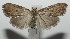  ( - 17-SRNP-101700)  @11 [ ] CreativeCommons - Attribution Non-Commercial Share-Alike (2018) Daniel H. Janzen Guanacaste Dry Forest Conservation Fund