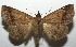  ( - 17-SRNP-101813)  @14 [ ] CreativeCommons - Attribution Non-Commercial Share-Alike (2018) Daniel H. Janzen Guanacaste Dry Forest Conservation Fund
