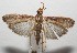  ( - 17-SRNP-102718)  @11 [ ] CreativeCommons - Attribution Non-Commercial Share-Alike (2018) Daniel H. Janzen Guanacaste Dry Forest Conservation Fund