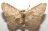  ( - 17-SRNP-103010)  @11 [ ] CreativeCommons - Attribution Non-Commercial Share-Alike (2018) Daniel H. Janzen Guanacaste Dry Forest Conservation Fund