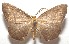  ( - 17-SRNP-103032)  @13 [ ] CreativeCommons - Attribution Non-Commercial Share-Alike (2018) Daniel H. Janzen Guanacaste Dry Forest Conservation Fund