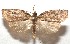  ( - 17-SRNP-103116)  @11 [ ] CreativeCommons - Attribution Non-Commercial Share-Alike (2018) Daniel H. Janzen Guanacaste Dry Forest Conservation Fund