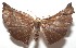  ( - 17-SRNP-103130)  @13 [ ] CreativeCommons - Attribution Non-Commercial Share-Alike (2018) Daniel H. Janzen Guanacaste Dry Forest Conservation Fund