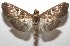  ( - 17-SRNP-103447)  @14 [ ] CreativeCommons - Attribution Non-Commercial Share-Alike (2018) Daniel H. Janzen Guanacaste Dry Forest Conservation Fund