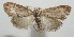  ( - 17-SRNP-104363)  @13 [ ] CreativeCommons - Attribution Non-Commercial Share-Alike (2018) Daniel H. Janzen Guanacaste Dry Forest Conservation Fund
