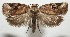  ( - 17-SRNP-104384)  @11 [ ] CreativeCommons - Attribution Non-Commercial Share-Alike (2018) Daniel H. Janzen Guanacaste Dry Forest Conservation Fund