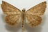  ( - 17-SRNP-104739)  @11 [ ] CreativeCommons - Attribution Non-Commercial Share-Alike (2018) Daniel H. Janzen Guanacaste Dry Forest Conservation Fund