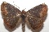  ( - 17-SRNP-105366)  @13 [ ] CreativeCommons - Attribution Non-Commercial Share-Alike (2018) Daniel H. Janzen Guanacaste Dry Forest Conservation Fund