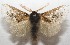  ( - 17-SRNP-105560)  @11 [ ] CreativeCommons - Attribution Non-Commercial Share-Alike (2018) Daniel H. Janzen Guanacaste Dry Forest Conservation Fund