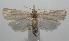  ( - 17-SRNP-105613)  @11 [ ] CreativeCommons - Attribution Non-Commercial Share-Alike (2018) Daniel H. Janzen Guanacaste Dry Forest Conservation Fund