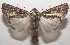  ( - 17-SRNP-105808)  @14 [ ] CreativeCommons - Attribution Non-Commercial Share-Alike (2018) Daniel H. Janzen Guanacaste Dry Forest Conservation Fund
