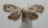  ( - 17-SRNP-105944)  @13 [ ] CreativeCommons - Attribution Non-Commercial Share-Alike (2018) Daniel H. Janzen Guanacaste Dry Forest Conservation Fund