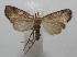  ( - 17-SRNP-106225)  @11 [ ] CreativeCommons - Attribution Non-Commercial Share-Alike (2018) Daniel H. Janzen Guanacaste Dry Forest Conservation Fund