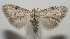  ( - 17-SRNP-106371)  @11 [ ] CreativeCommons - Attribution Non-Commercial Share-Alike (2018) Daniel H. Janzen Guanacaste Dry Forest Conservation Fund