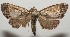  ( - 17-SRNP-106585)  @13 [ ] CreativeCommons - Attribution Non-Commercial Share-Alike (2018) Daniel H. Janzen Guanacaste Dry Forest Conservation Fund
