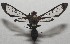  ( - 17-SRNP-106685)  @14 [ ] CreativeCommons - Attribution Non-Commercial Share-Alike (2018) Daniel H. Janzen Guanacaste Dry Forest Conservation Fund