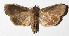  ( - 17-SRNP-435)  @14 [ ] CreativeCommons - Attribution Non-Commercial Share-Alike (2018) Daniel H. Janzen Guanacaste Dry Forest Conservation Fund
