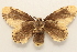  ( - 18-SRNP-1635)  @11 [ ] CreativeCommons  Attribution Non-Commercial Share-Alike (2023) Daniel H. Janzen Guanacaste Dry Forest Conservation Fund