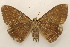  ( - 18-SRNP-20959)  @11 [ ] CreativeCommons  Attribution Non-Commercial Share-Alike (2023) Daniel H. Janzen Guanacaste Dry Forest Conservation Fund